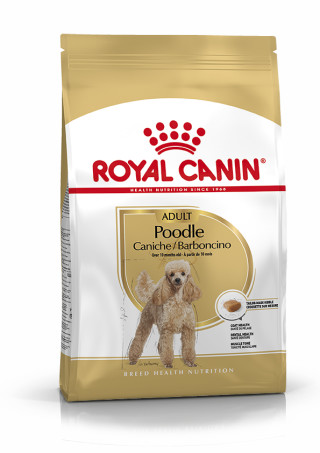 Poodle